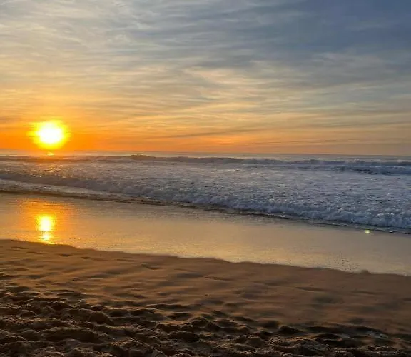 Vue Sur Ocean * Mimizan-Plage